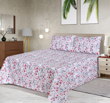 Cotton BedSheet Design BS-475