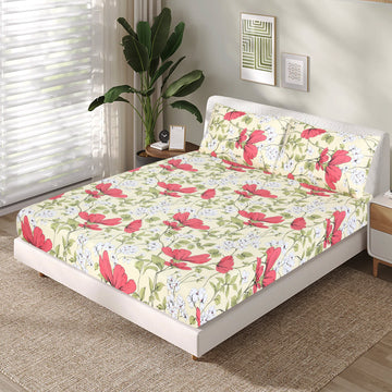 Cotton fitted sheet FT-177