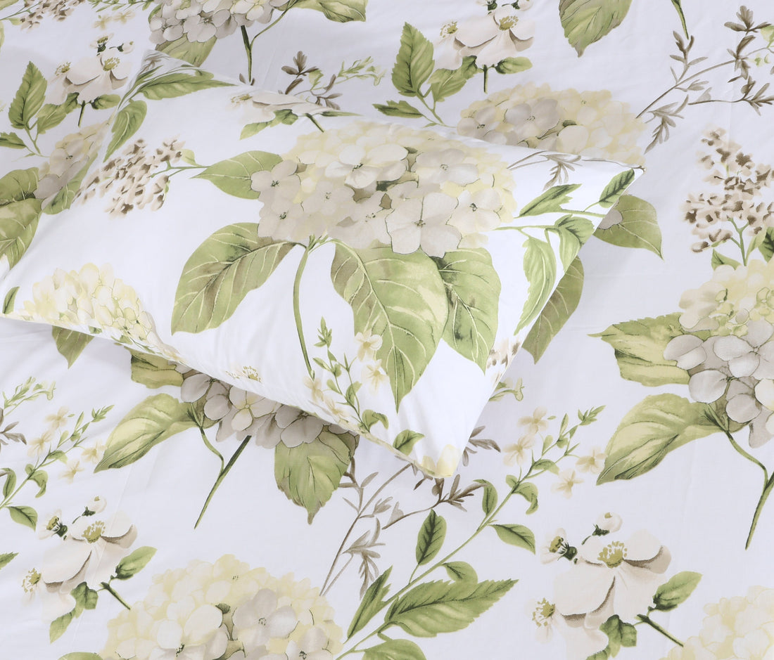 Cotton BedSheet Design BS-466