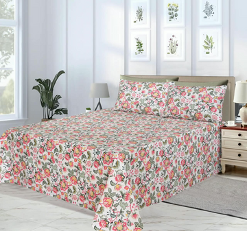 Cotton BedSheet Design BS-521