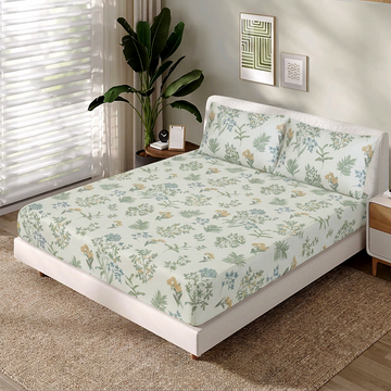 Percale Cotton fitted sheet FT-207
